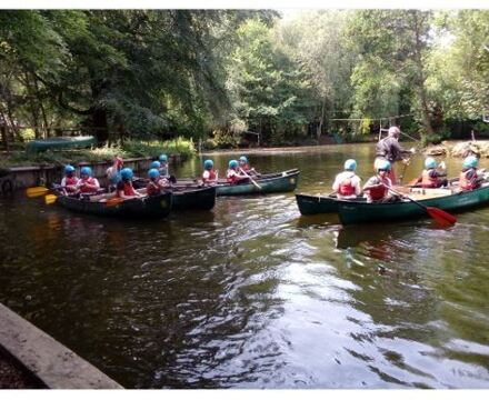 Woodlands Rowans 1