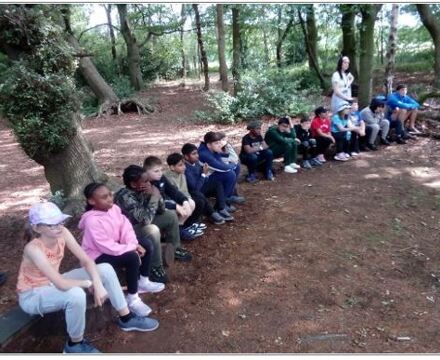 Woodlands Rowans
